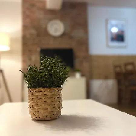 Apartament Bema 10 דירה
